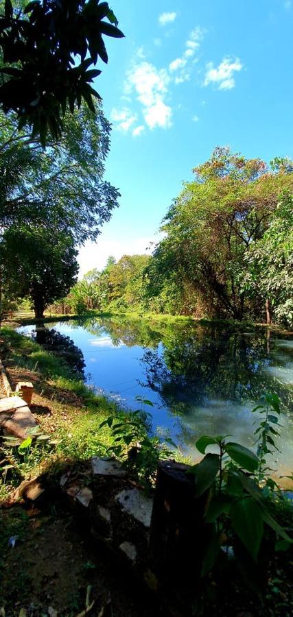 Chacara Bica Dagua Villa Pirenopolis Luaran gambar
