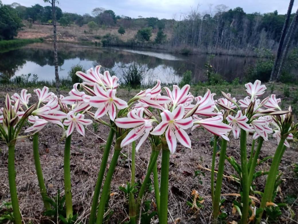 Chacara Bica Dagua Villa Pirenopolis Luaran gambar